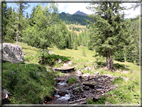 foto Da Forcella Montalon a Val Campelle